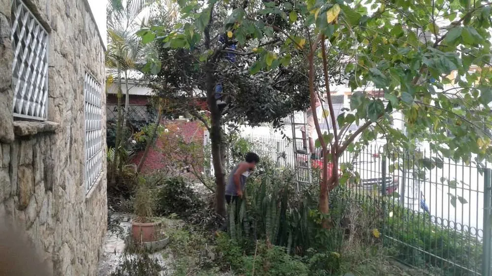 Casa, 3 quartos, 450 m² - Foto 10