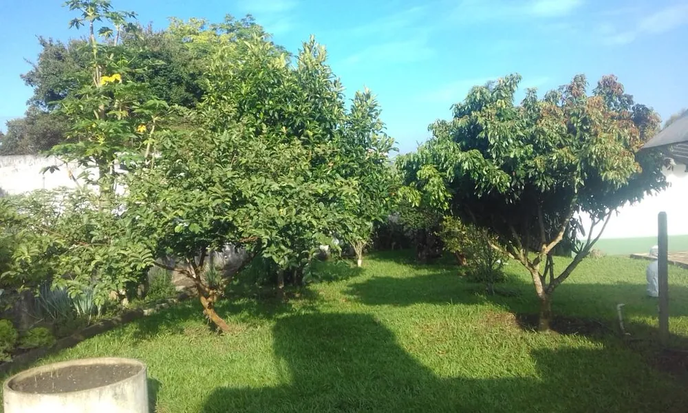 Chácara, 4 quartos, 2000 m² - Foto 4