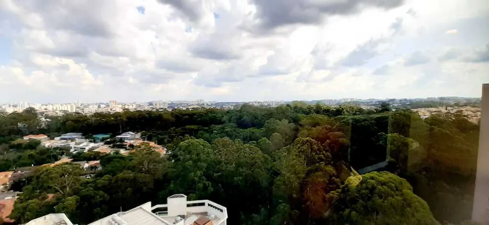 Apartamento, 4 quartos, 242 m² - Foto 16