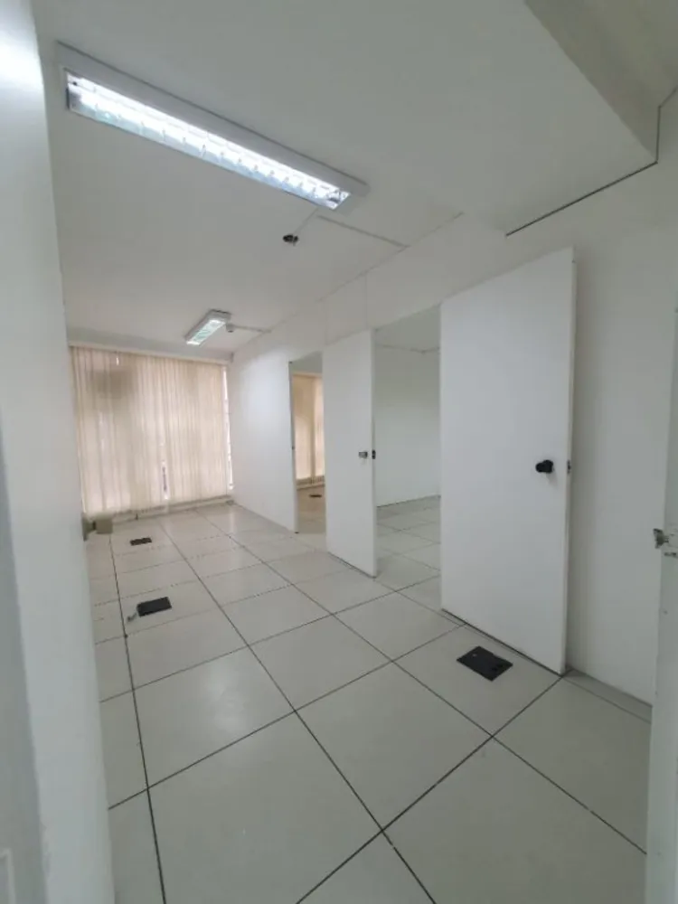 Sala-Conjunto, 260 m² - Foto 3