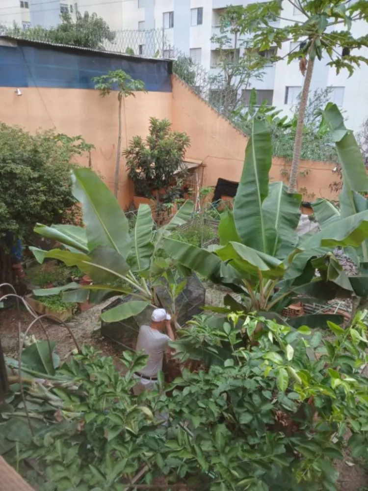 Casa, 4 quartos, 350 m² - Foto 14