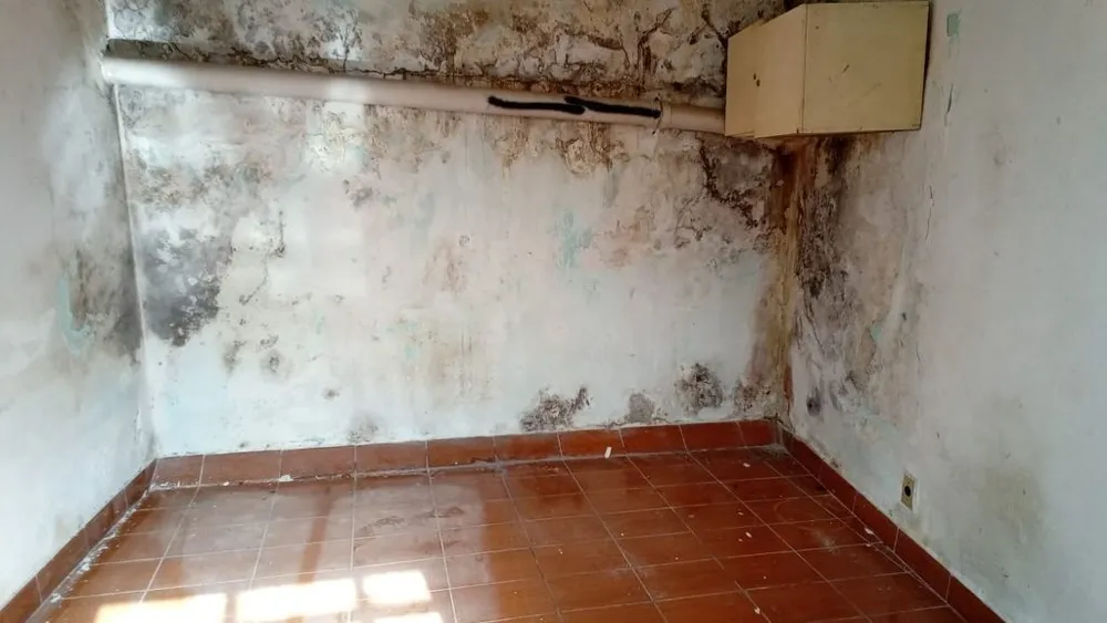 Sobrado, 4 quartos, 219 m² - Foto 3