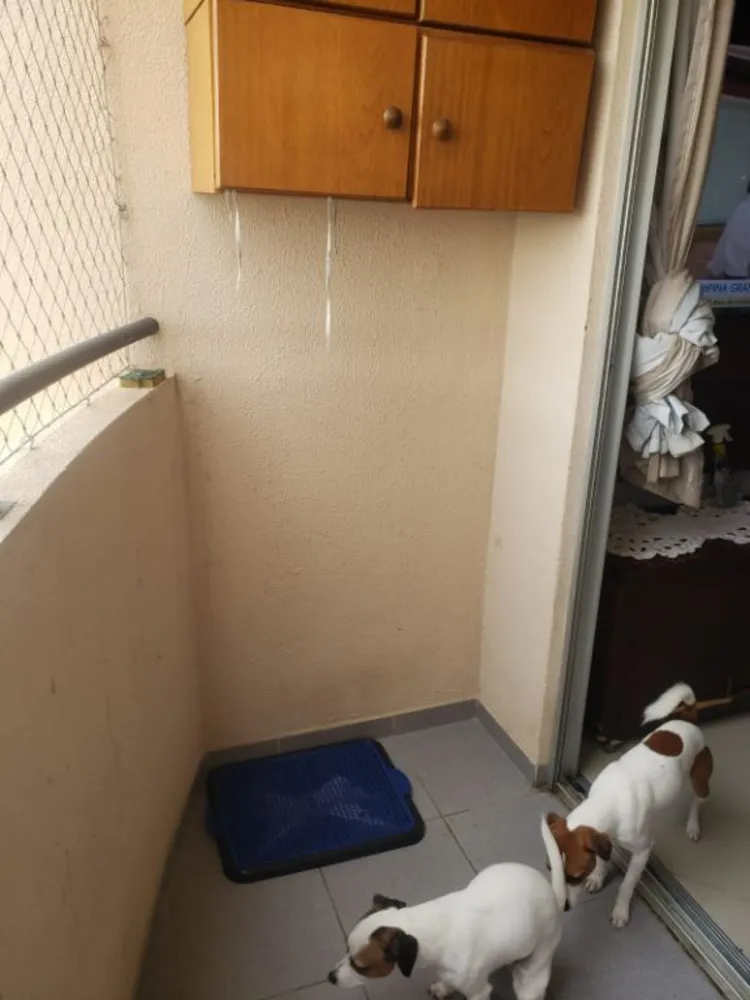 Apartamento, 3 quartos, 72 m² - Foto 5