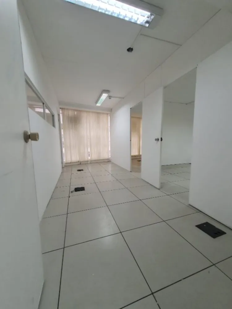 Sala-Conjunto, 260 m² - Foto 12