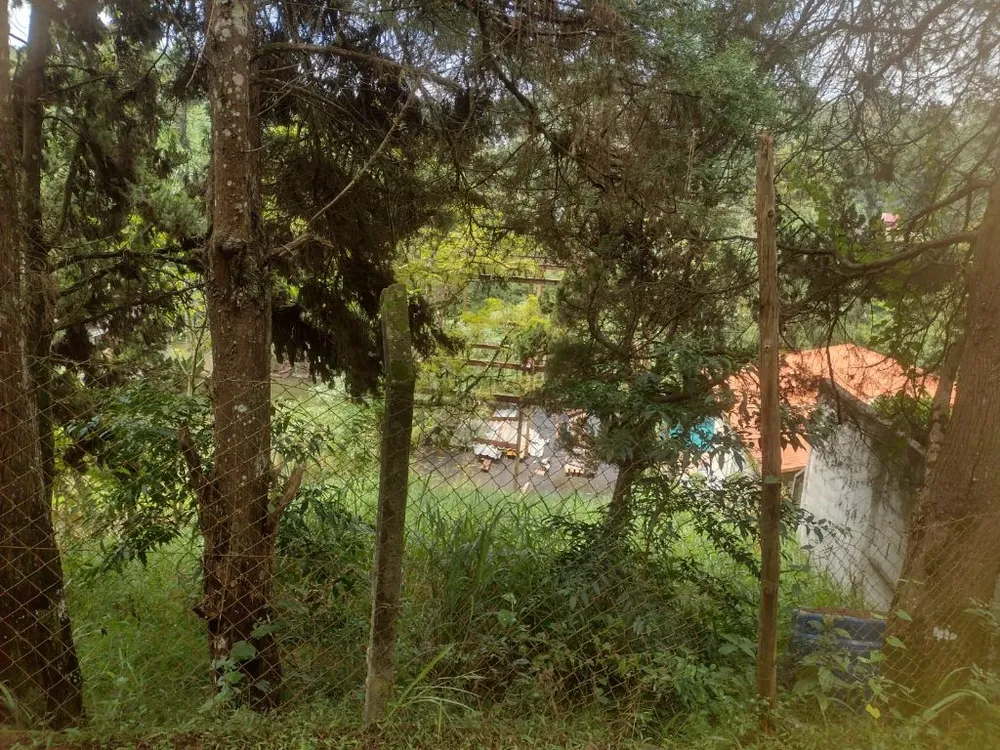 Terreno, 503 m² - Foto 9