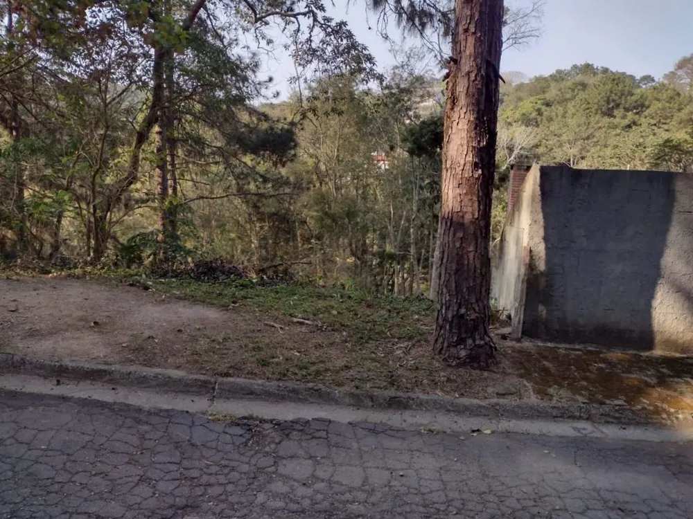 Terreno, 503 m² - Foto 8
