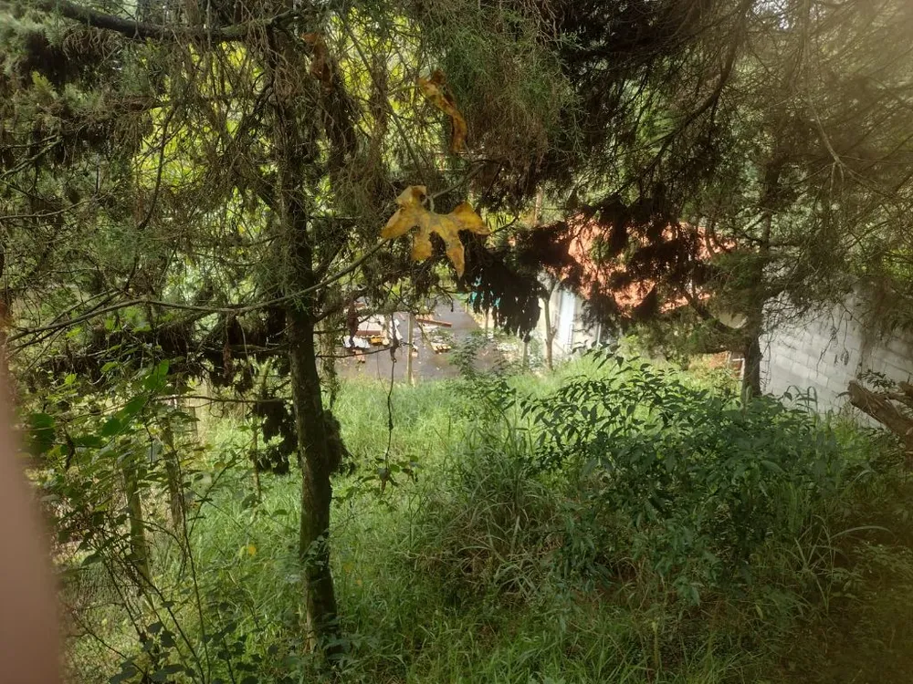 Terreno, 503 m² - Foto 10