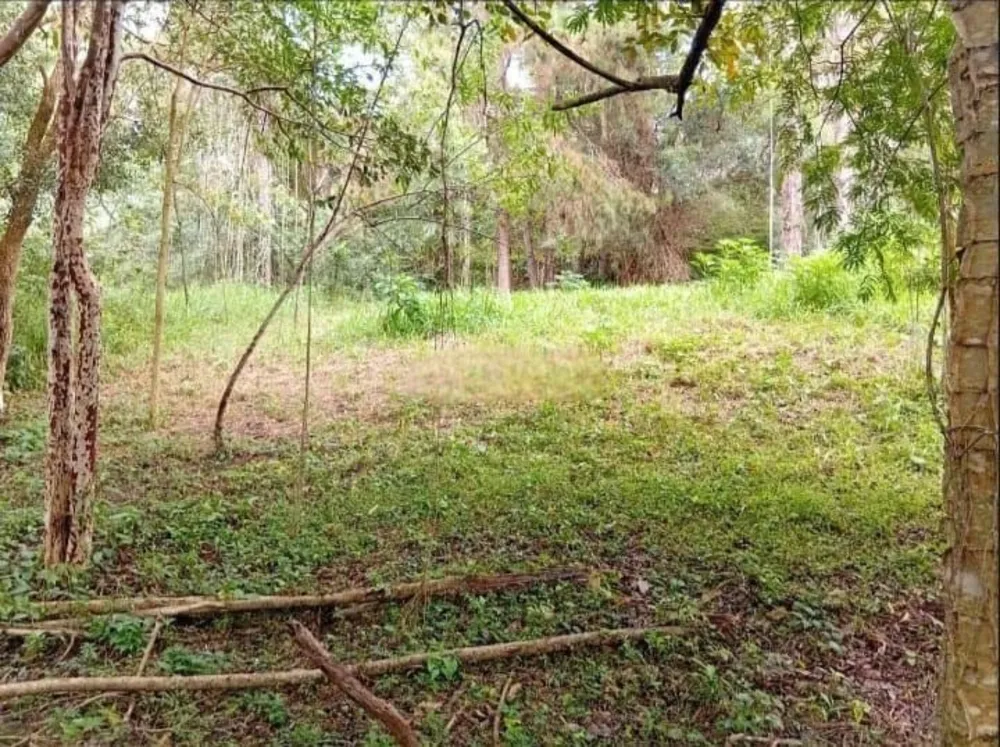Terreno, 503 m² - Foto 6