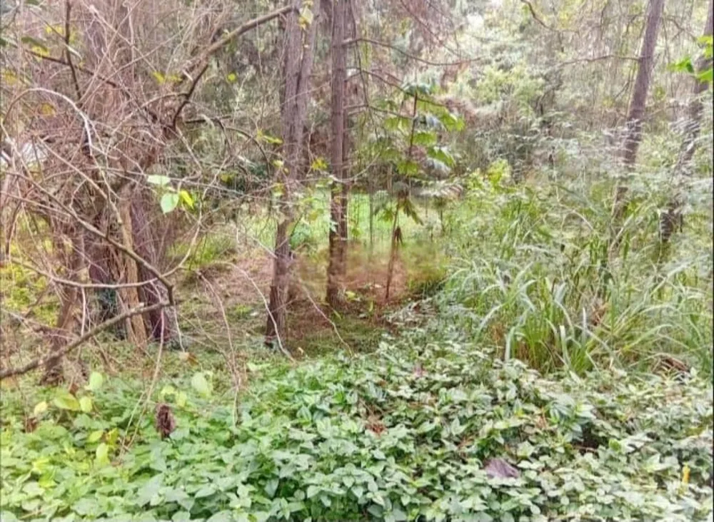 Terreno, 503 m² - Foto 5
