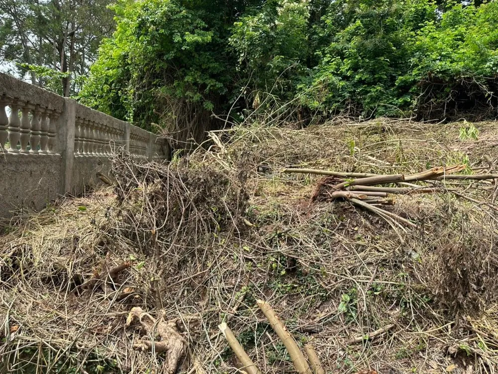 Terreno, 1000 m² - Foto 2