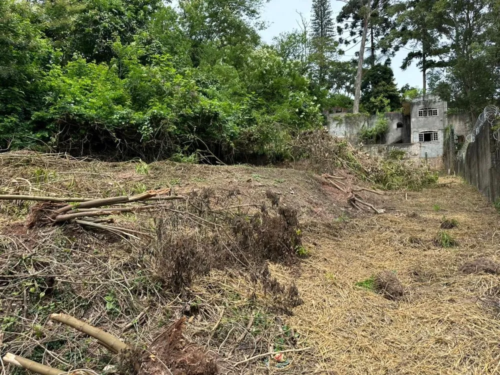 Terreno, 1000 m² - Foto 3