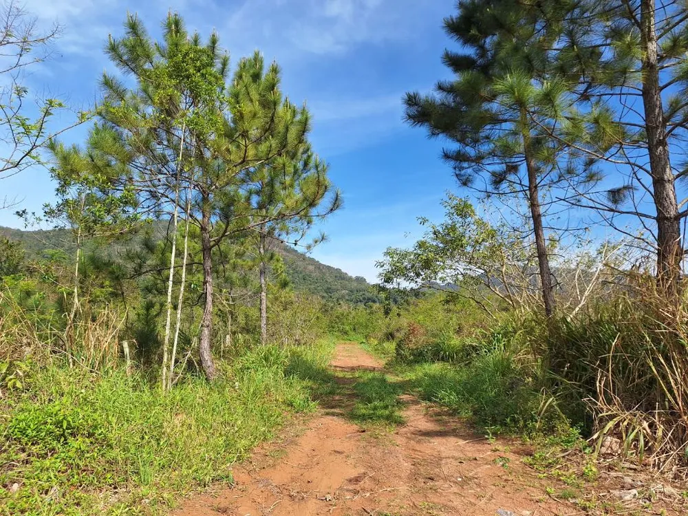 Terreno, 496 m² - Foto 8