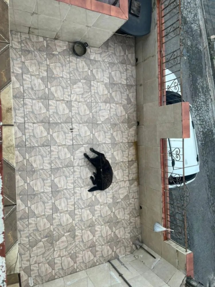 Sobrado, 3 quartos, 91 m² - Foto 3