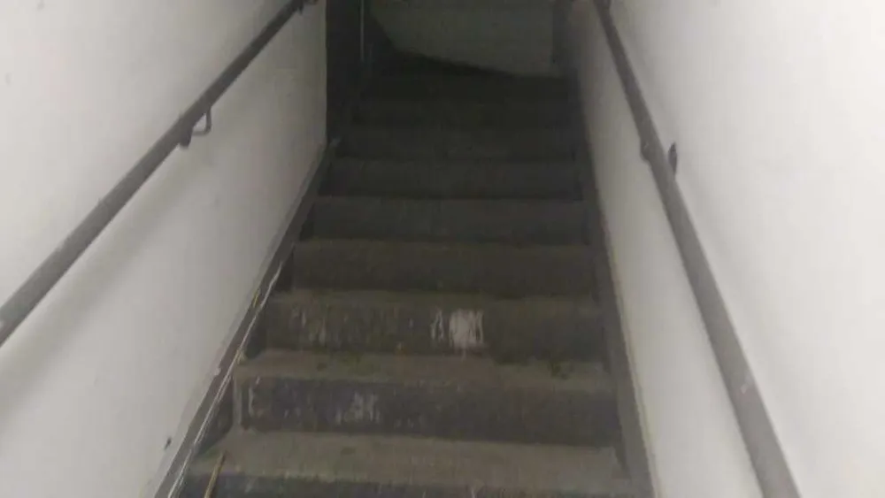 Depósito-Galpão, 250 m² - Foto 6