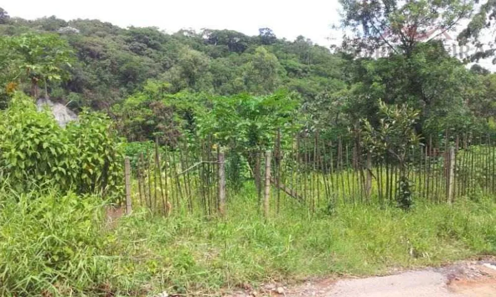 Terreno, 4990 m² - Foto 4