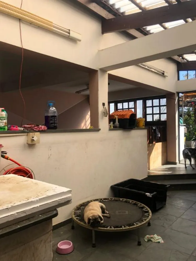 Casa, 3 quartos, 386 m² - Foto 4
