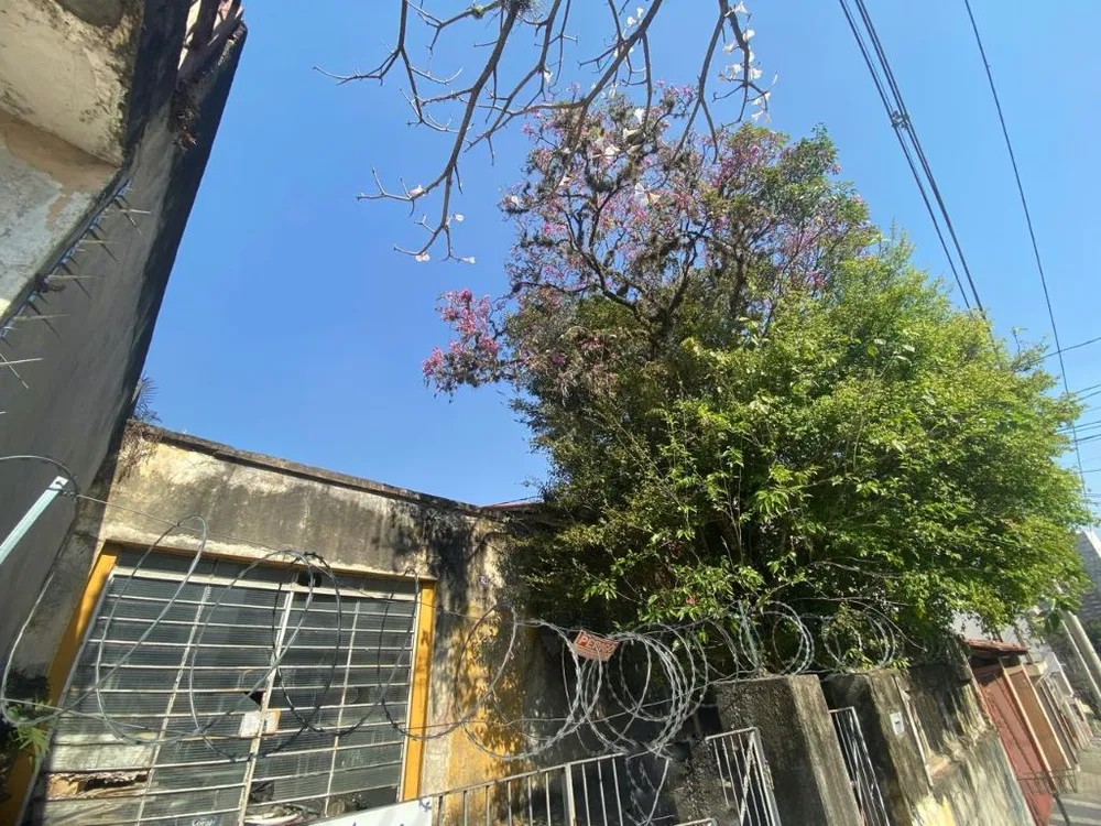 Terreno, 280 m² - Foto 5
