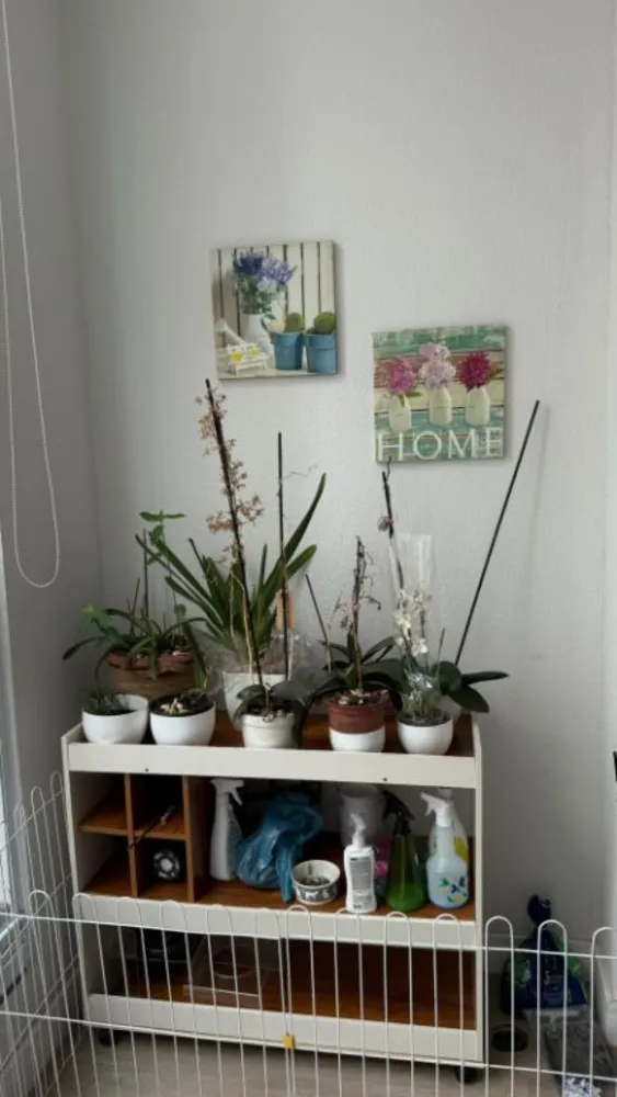 Apartamento, 2 quartos, 71 m² - Foto 1