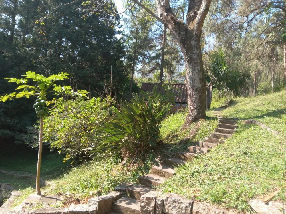 Sítio, 8 quartos, 10 hectares - Foto 2