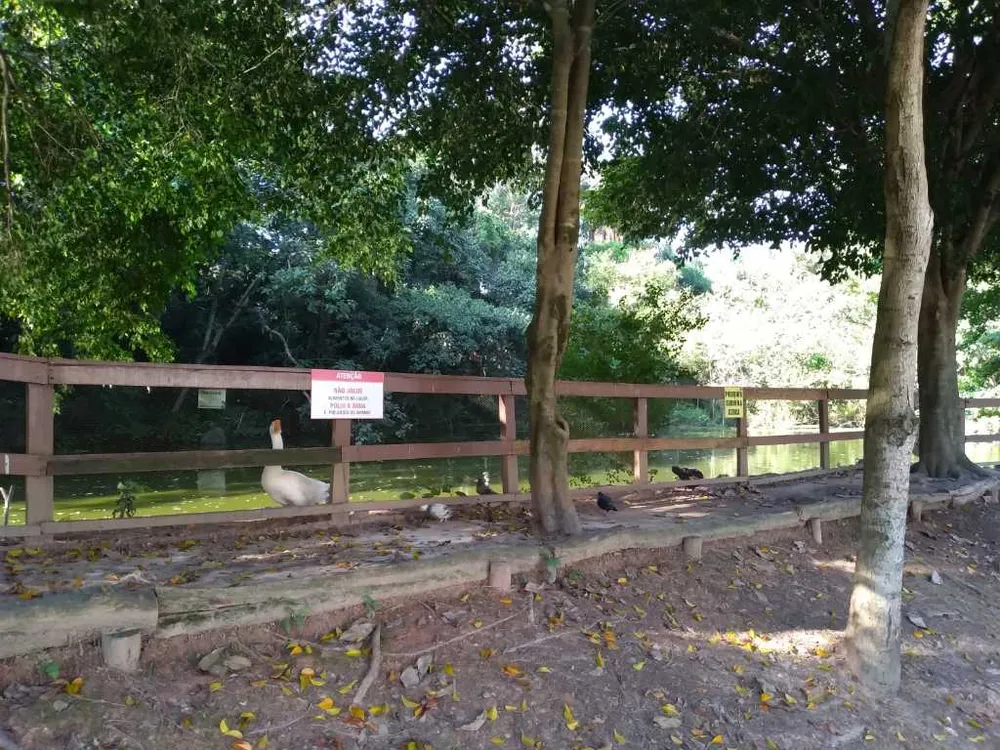 Terreno, 700 m² - Foto 1