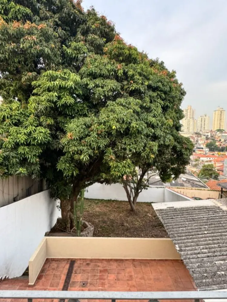 Sobrado, 5 quartos, 247 m² - Foto 9