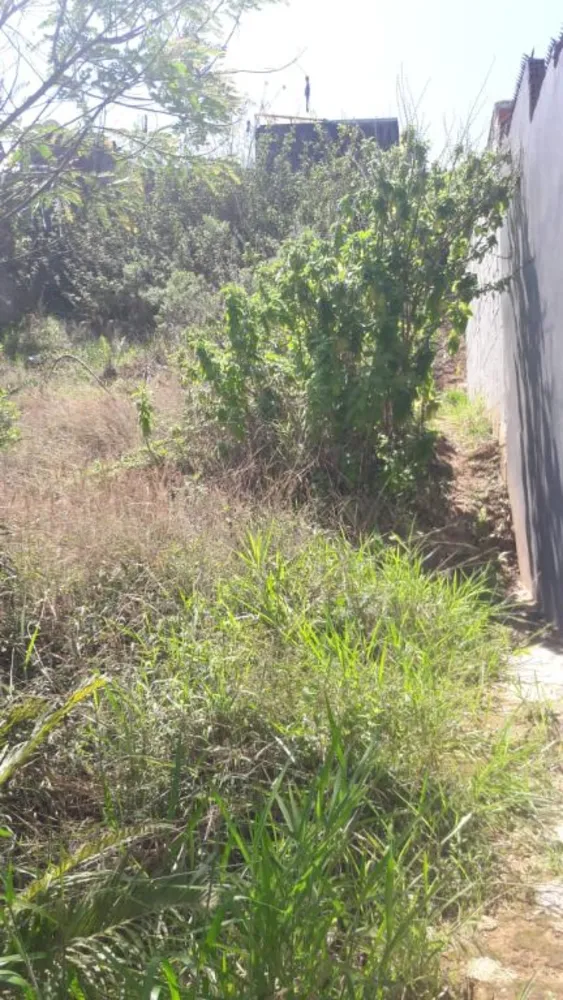 Terreno, 202 m² - Foto 4