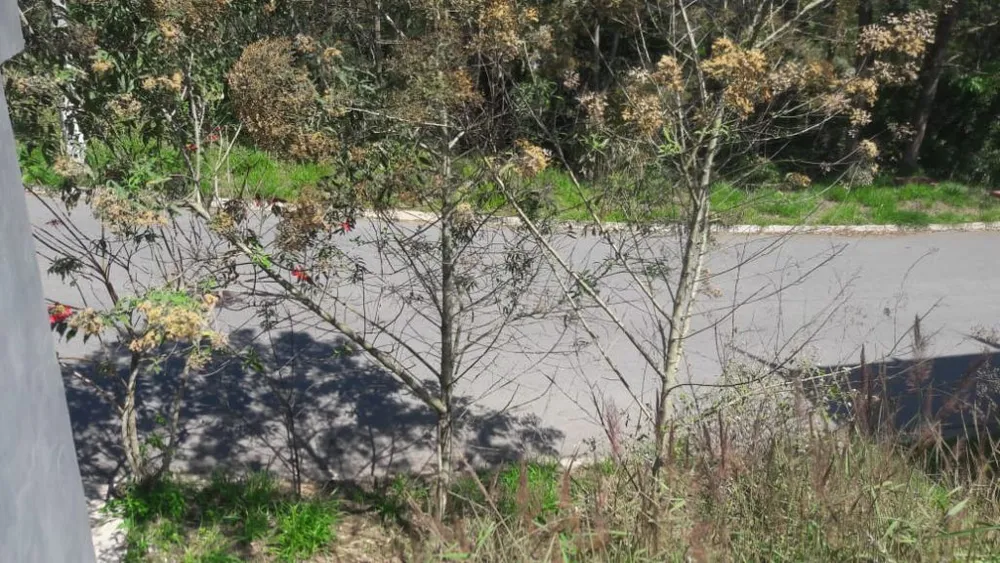 Terreno, 202 m² - Foto 1