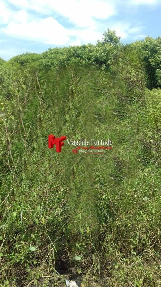 Terreno, 200 m² - Foto 1