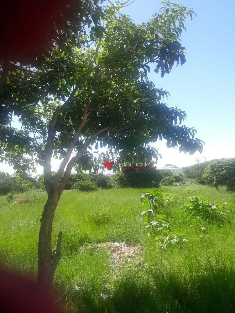 Terreno, 600 m² - Foto 3