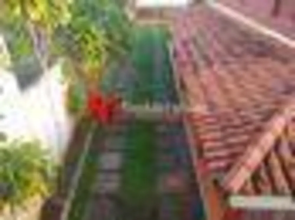 Casa, 5 quartos, 246 m² - Foto 52