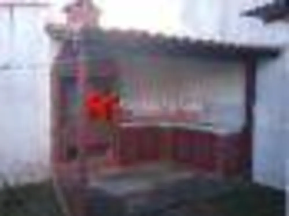 Casa, 5 quartos, 246 m² - Foto 51