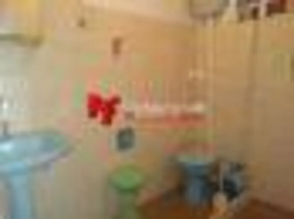 Casa, 5 quartos, 246 m² - Foto 47