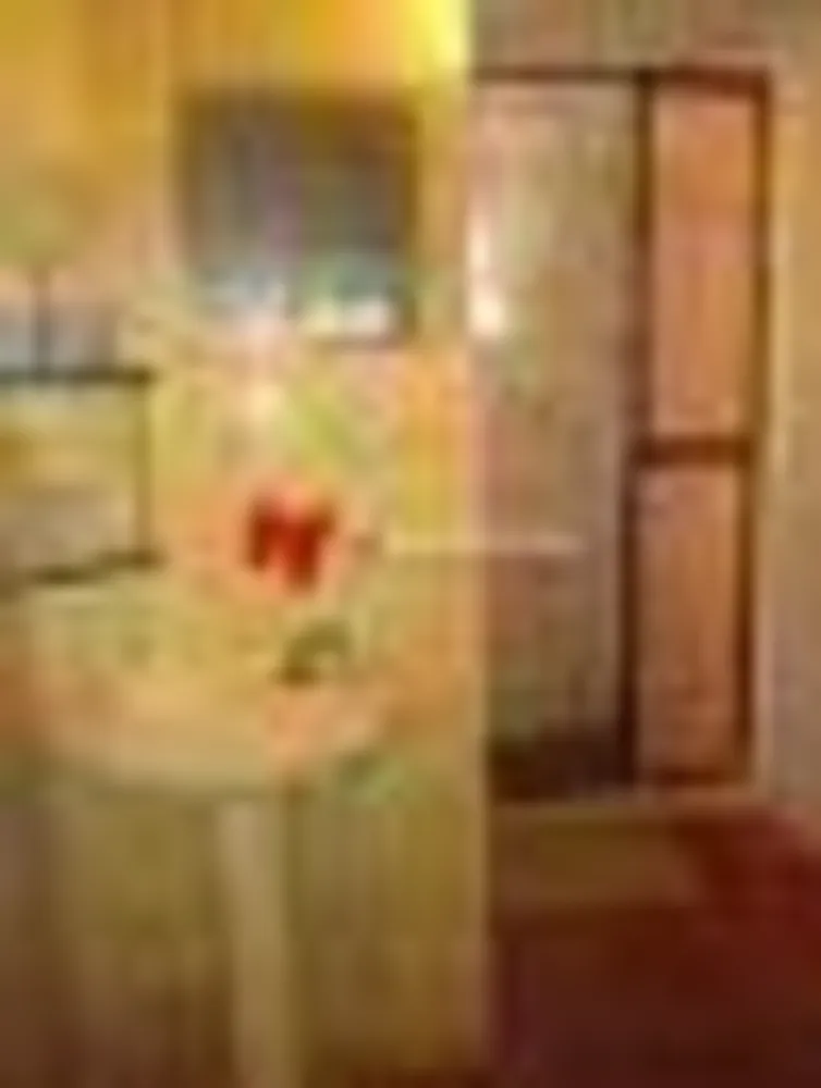Casa, 5 quartos, 246 m² - Foto 56