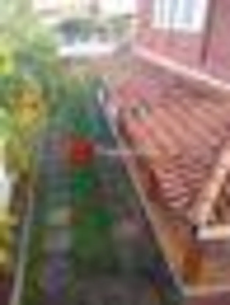 Casa, 5 quartos, 246 m² - Foto 58