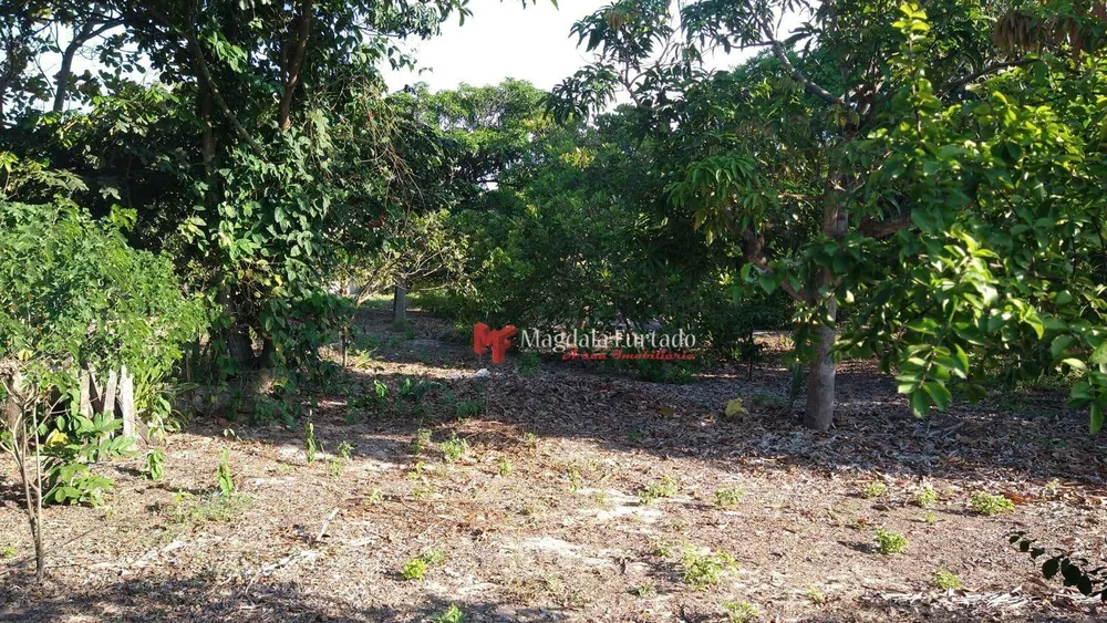 Terreno, 3800 m² - Foto 6