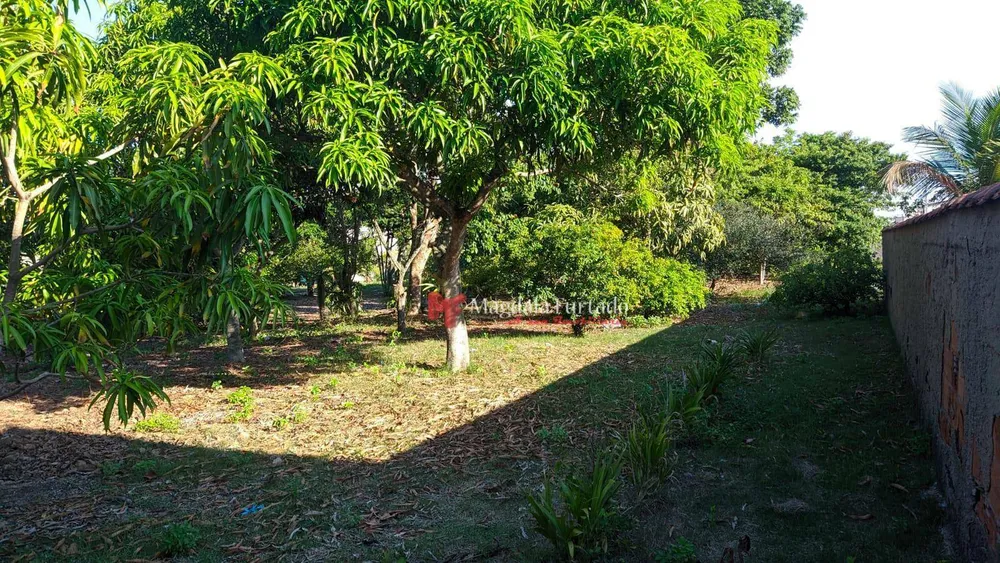 Terreno, 3800 m² - Foto 2