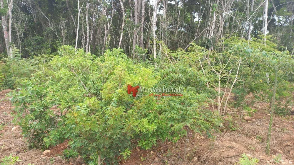 Terreno, 300 m² - Foto 26