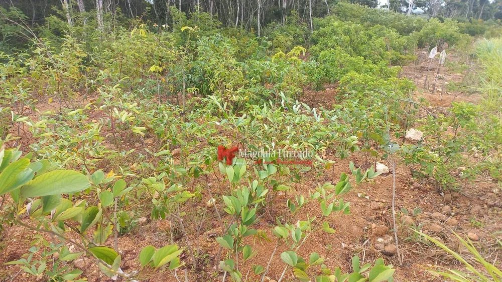 Terreno, 300 m² - Foto 16