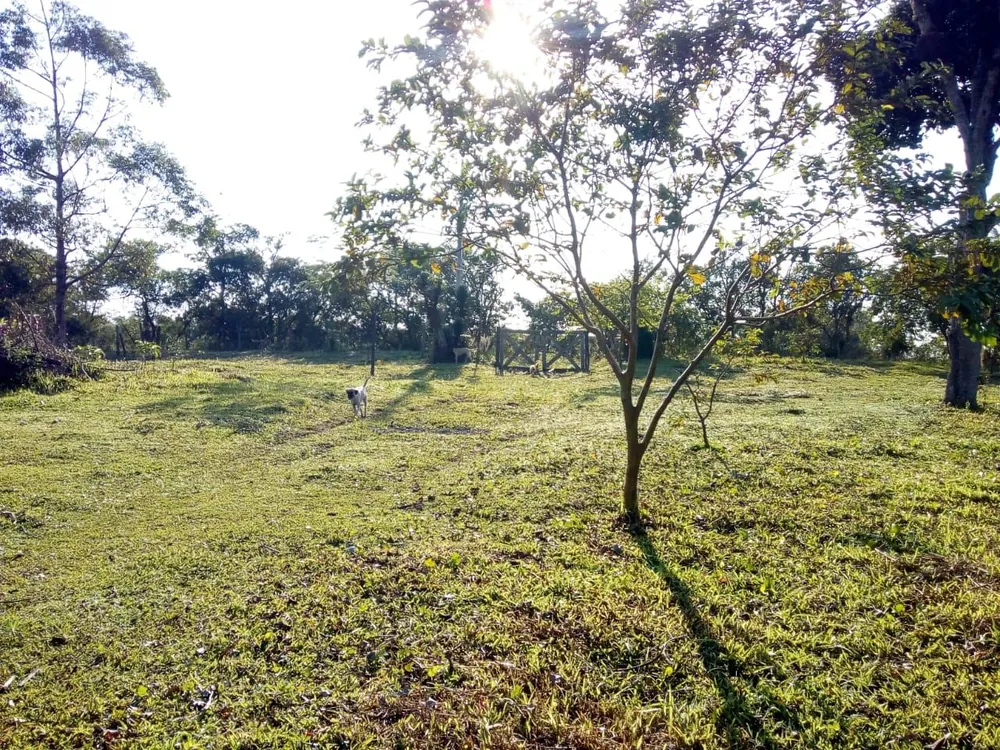 Terreno, 6000 m² - Foto 4