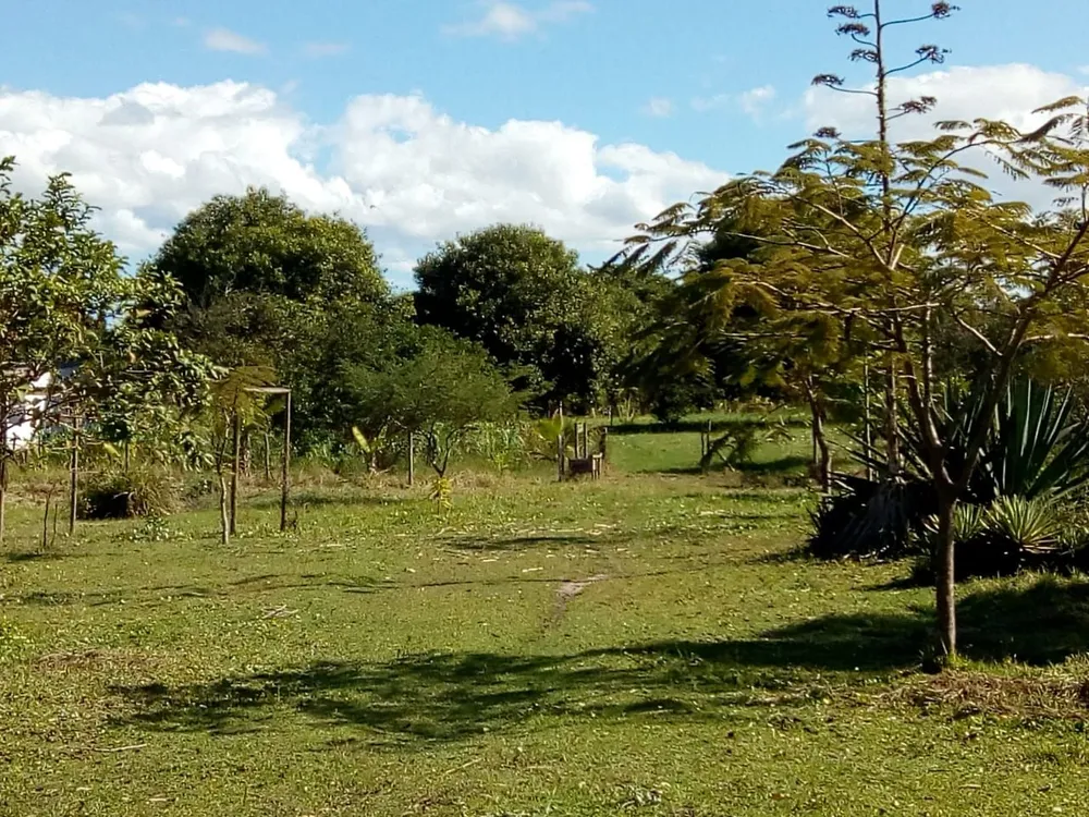 Terreno, 6000 m² - Foto 2