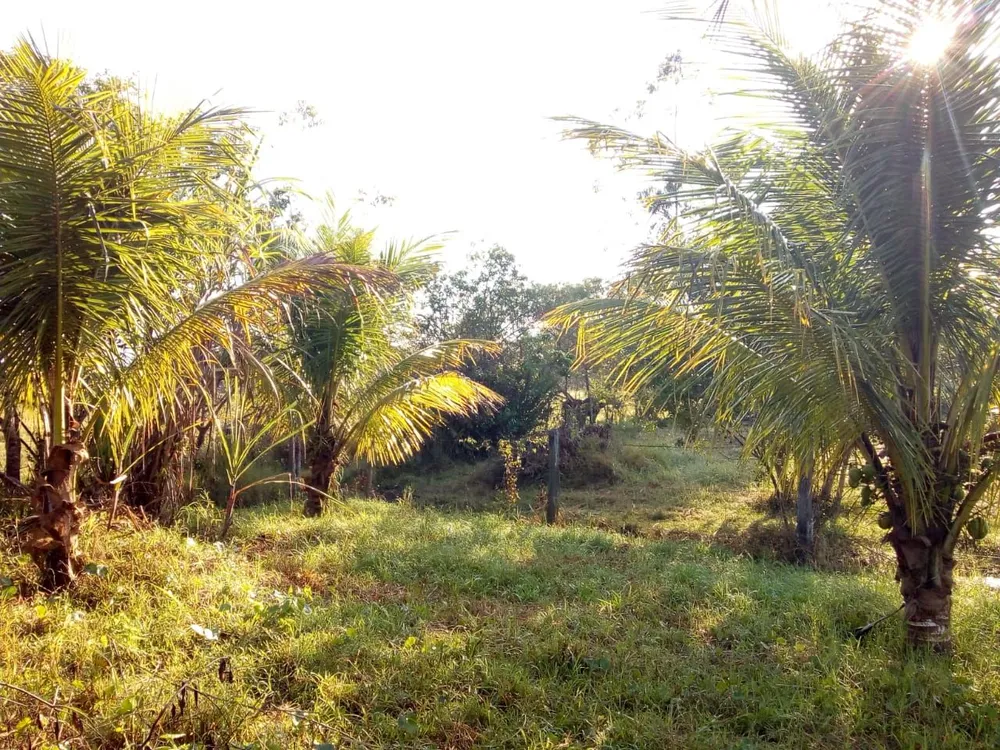 Terreno, 6000 m² - Foto 3
