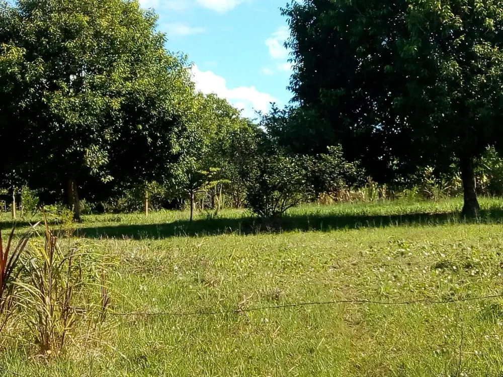 Terreno, 6000 m² - Foto 7