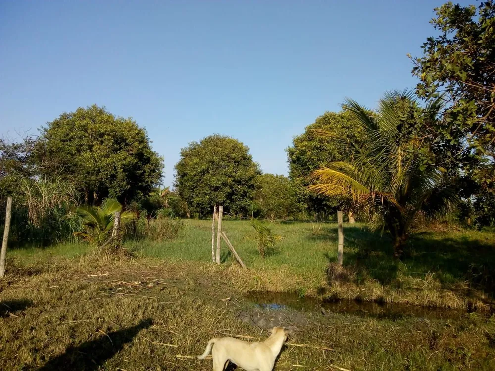 Terreno, 6000 m² - Foto 5