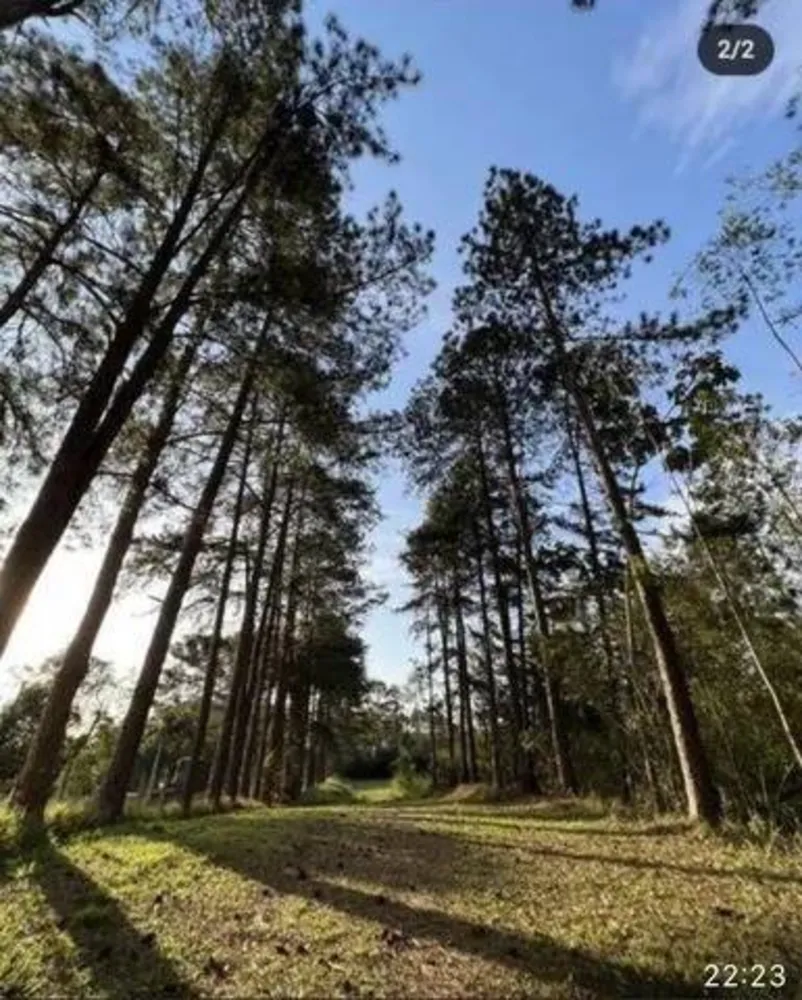 Terreno, 8 hectares - Foto 4