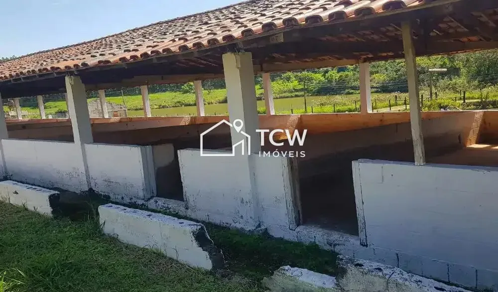Terreno, 2 hectares - Foto 4