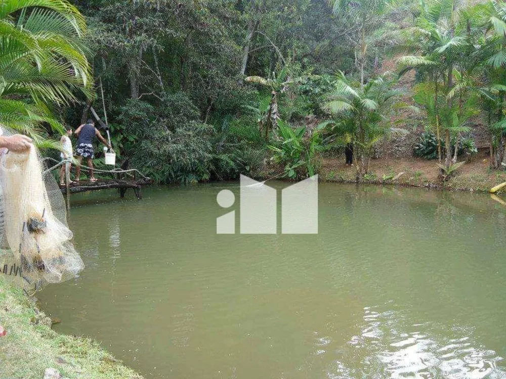 Sítio, 6 quartos, 20 hectares - Foto 10