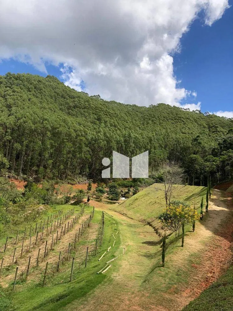 Fazenda, 25 hectares - Foto 6
