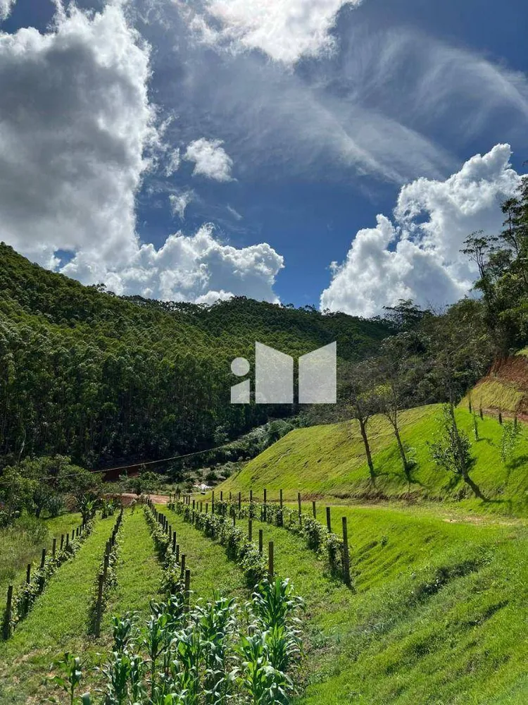 Fazenda, 25 hectares - Foto 11