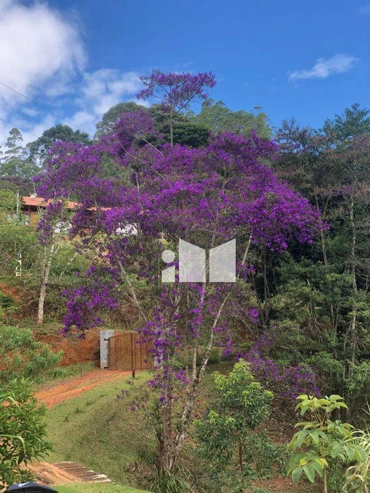 Fazenda, 25 hectares - Foto 8