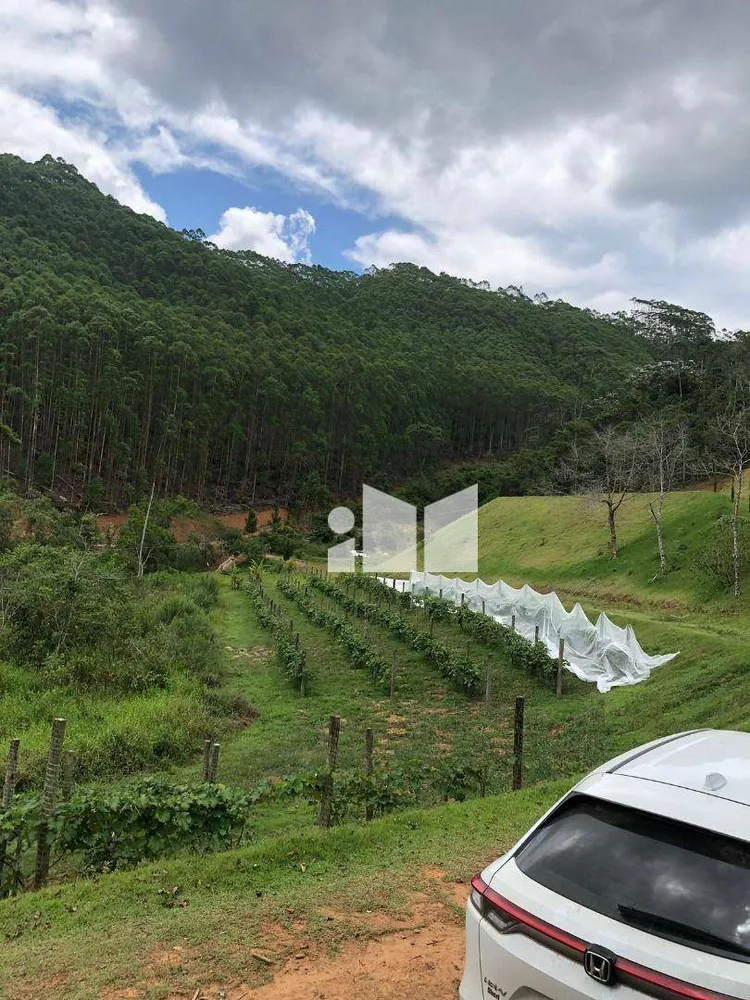 Fazenda, 25 hectares - Foto 9
